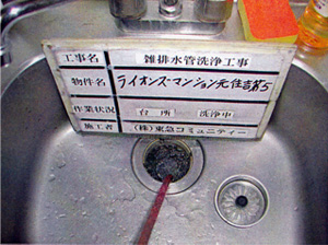 台所洗浄中